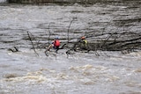 Two kayakers cling to tree branches