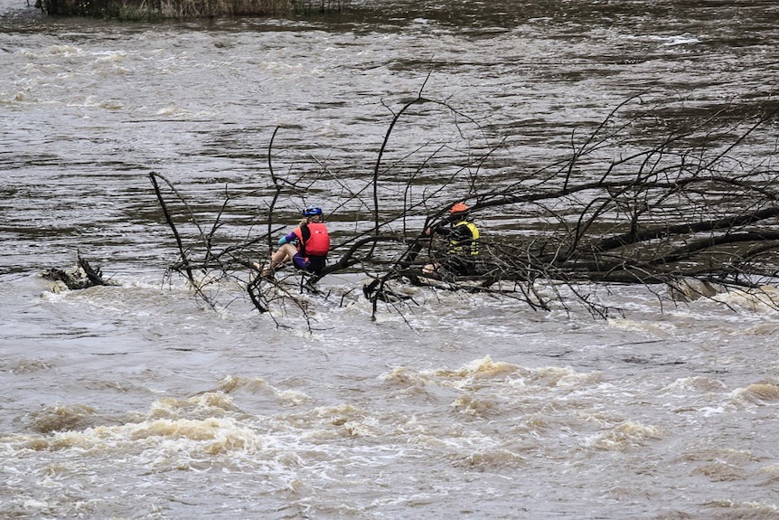 Two kayakers cling to tree branches