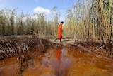 Greenpeace Senior Campaigner Lindsey Allen walks through a patch of oil