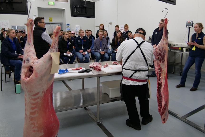 A sheep carcass, butcher cutting up meat and students watching
