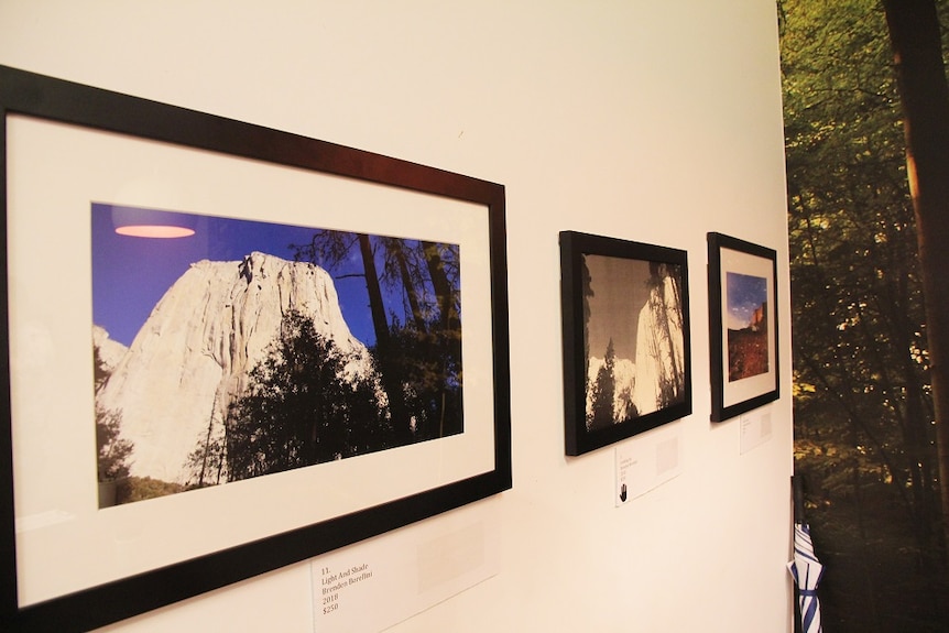 Three photographs on a wall