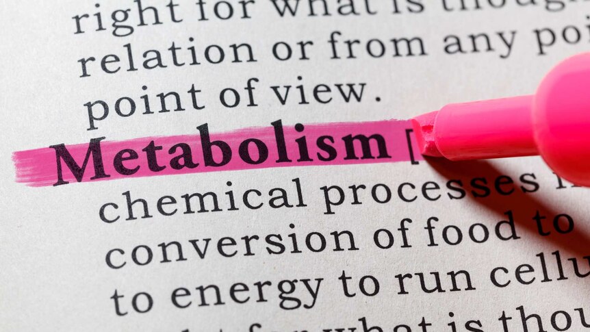 Image of a dictionary with the world metabolism highlighted in pink