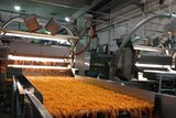 Carrots processed at Simplot factory in Devonport