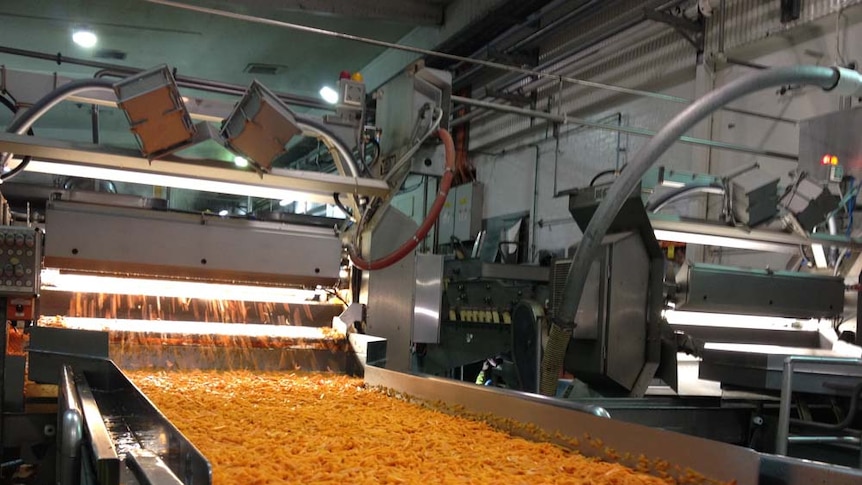 Carrots processed at Simplot factory in Devonport