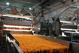 Carrots processed at Simplot factory in Devonport