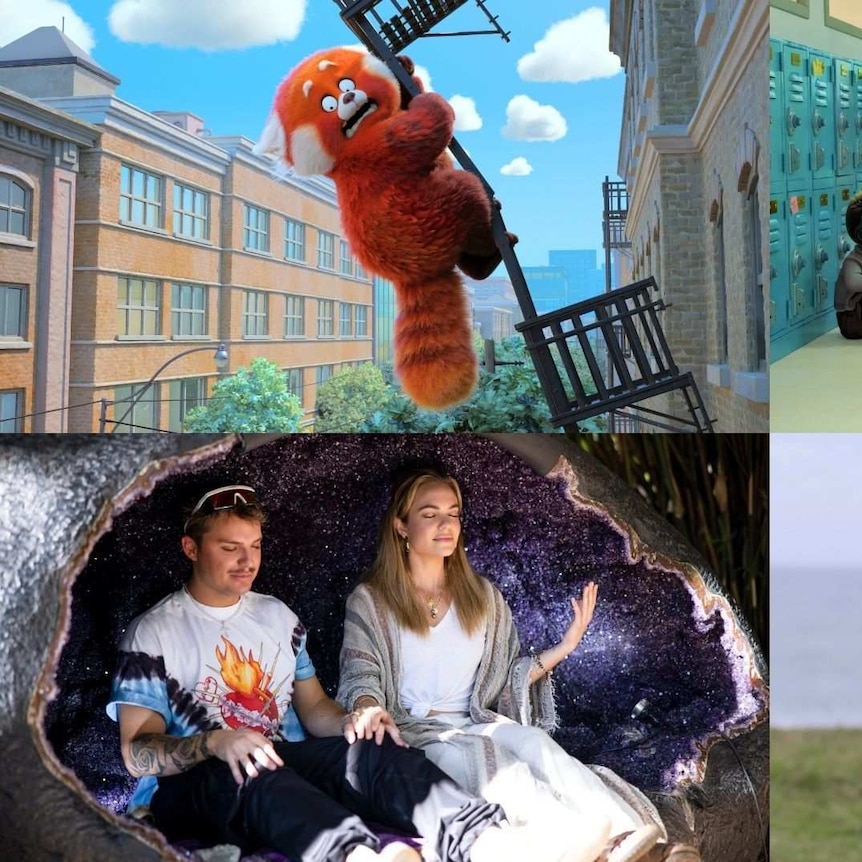 4 images: 2 cartoon: a large red panda in peril, a group of kids in school, 2 from reality show Byron Baes.