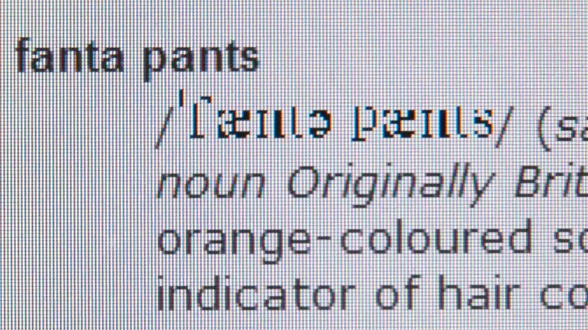 Fanta pants is one of a number of new words that will be added to the online Macquarie Dictionary.