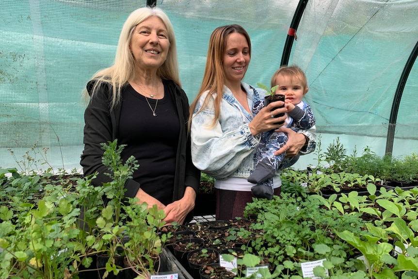 Herb farmer standing in her greenhouse with daughter and grandson surrounded by potted herbs 