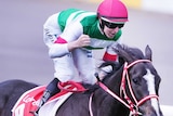 A jockey in green and white silks pumps his fist while riding a horse.