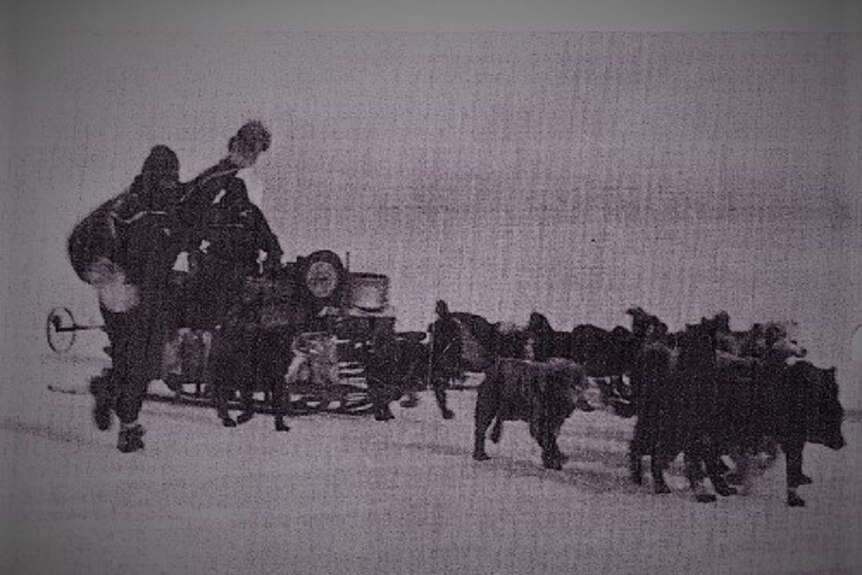 Black and white photo of Antarctic expeditioners and sled.