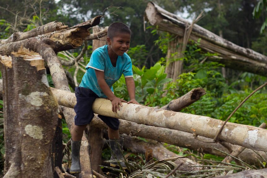 A Murui child balances on one side of a tree trunk that has been fashioned into a see-saw.