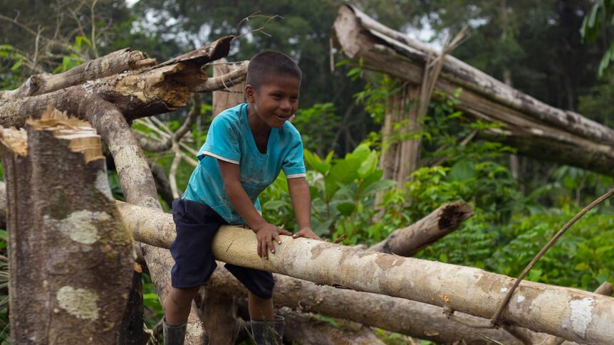 A Murui child balances on one side of a tree trunk that has been fashioned into a see-saw.