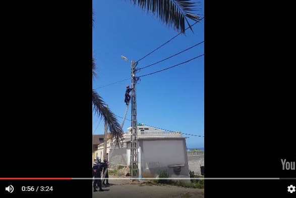 An Algerican civil defence member climbs a ladder to rescue a cat.