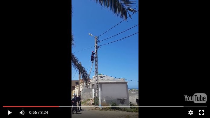 An Algerican civil defence member climbs a ladder to rescue a cat.