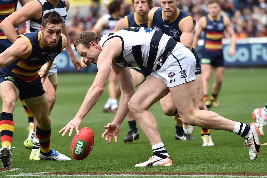 Geelong's Steve Johnson (R) and Adelaide's Richard Douglas go for the ball at Kardinia Park in 2015.