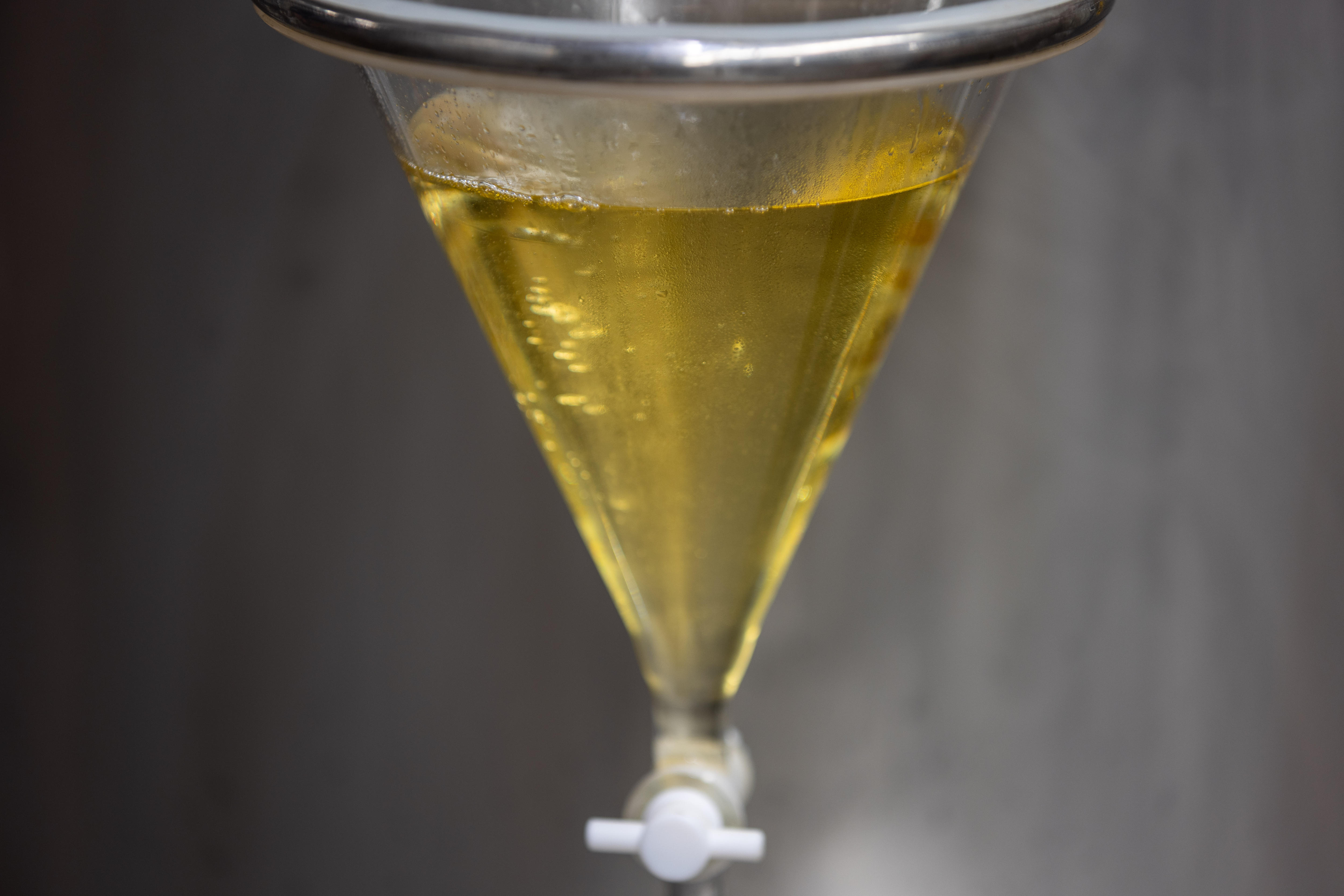 Sandalwood oil in a glass vessel ready to be decanted