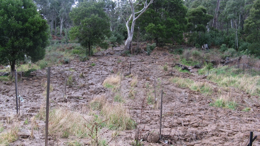 Evidence of a landslide on the side of a hill in Cornwall in Tasmania on Thursday August 25, 2011.
