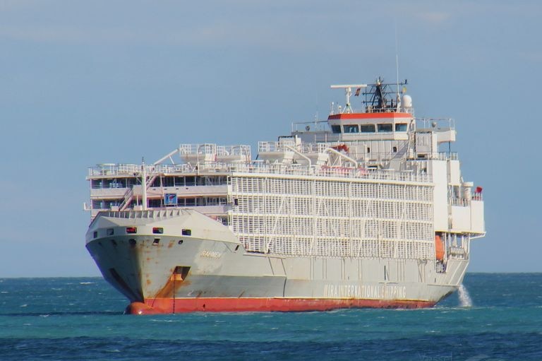 The Gulf Livestock 1, a large ship on the ocean.