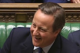 David Cameron speaks at the dispatch box.