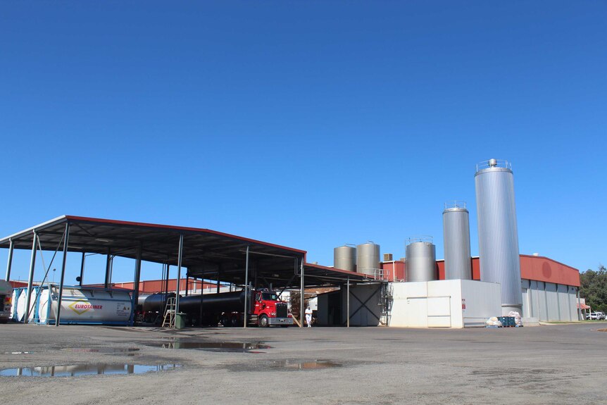 A wide angle photograph of a dairy under a clear blue sky in Western Australia.