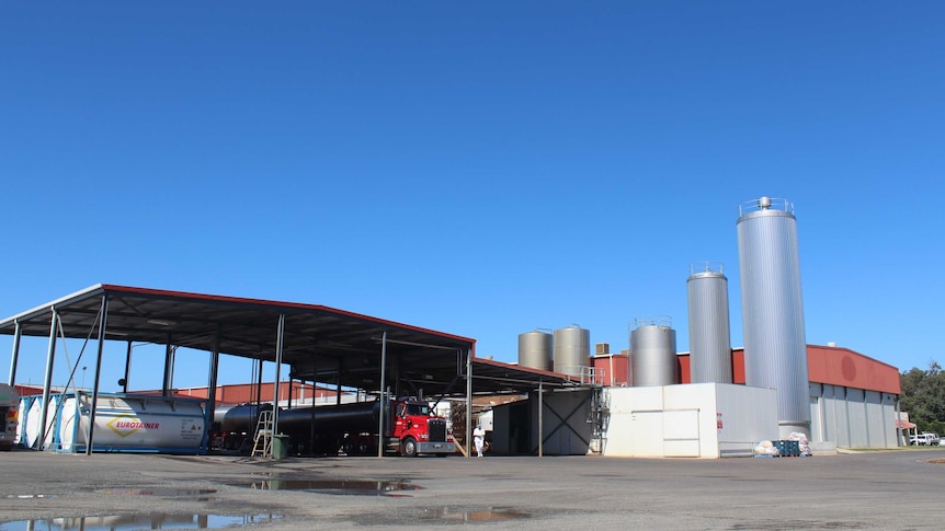 A wide angle photograph of a dairy under a clear blue sky in Western Australia.