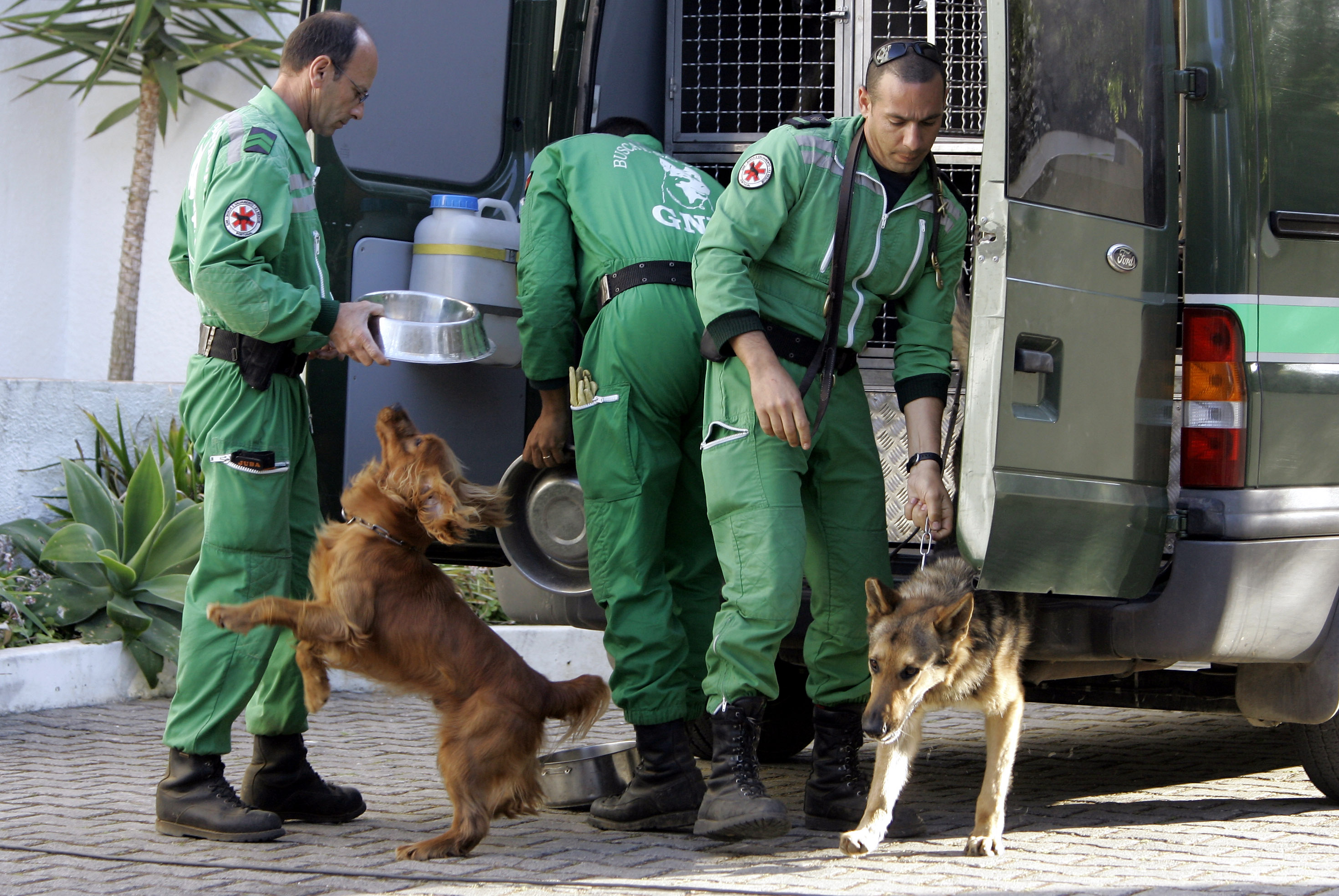 Portuguese police in green jumpsuits next to two cadaver dogs on leashes at the back of an open patrol car