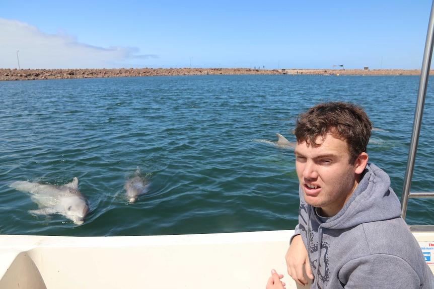 man on boat on the right and two dolphins approaching in the water, groyne in the background