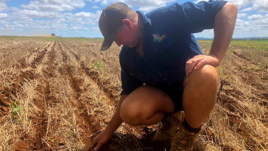A middle aged man is crouched down in a field with his hands in the soil. His expression is stoic.