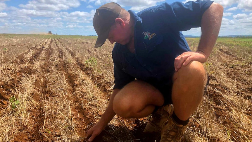 A man is crouched down in a field with his hands in the soil. His expression is stoic.