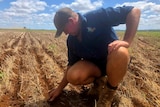 A middle aged man is crouched down in a field with his hands in the soil. His expression is stoic.