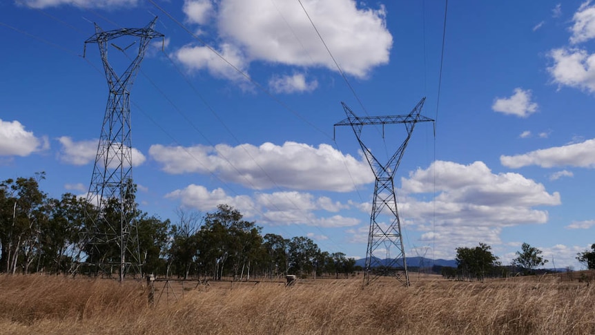 Powerlines for as far as the eye can see, amongst brown grass and a blue sky