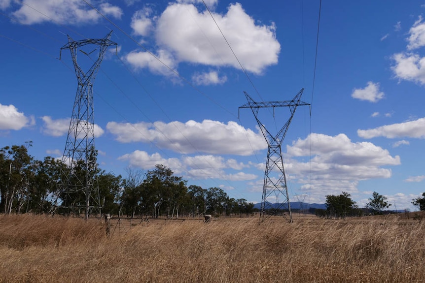 Powerlines for as far as the eye can see, amongst brown grass and a blue sky