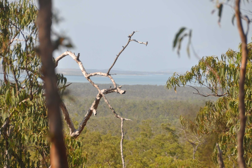 A bushy escarpment in East Arnhem Land.