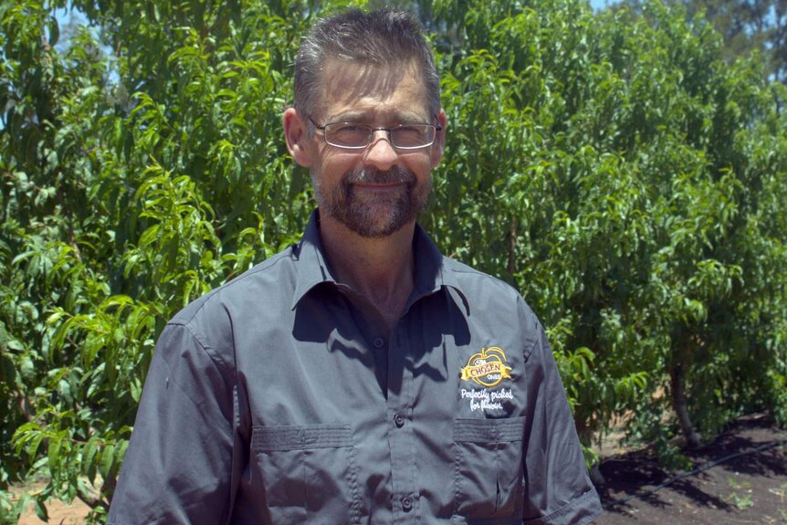A man wearing a dark grey shirt stands in an orchard.