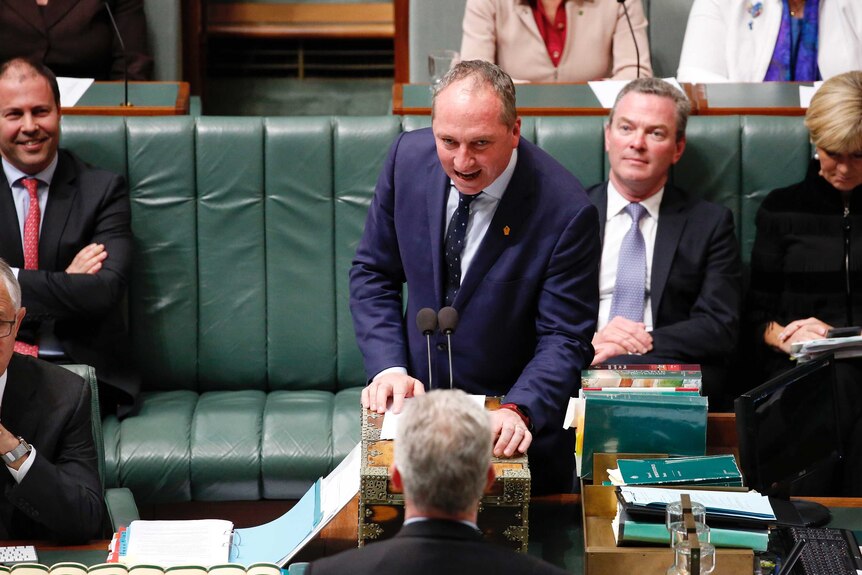 Barnaby Joyce speaking in Question Time