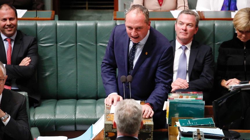 Dressed in a dark blue suit, Barnaby Joyce stands to speak in the House of Representatives
