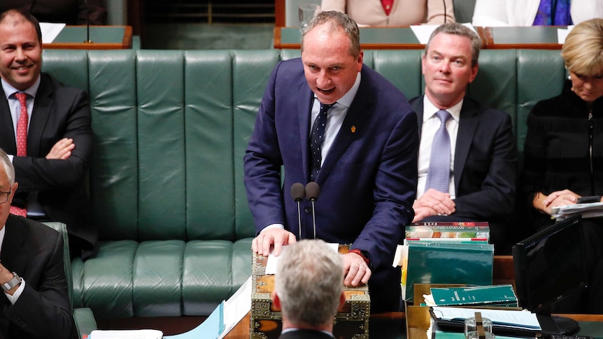 Barnaby Joyce speaking in Question Time