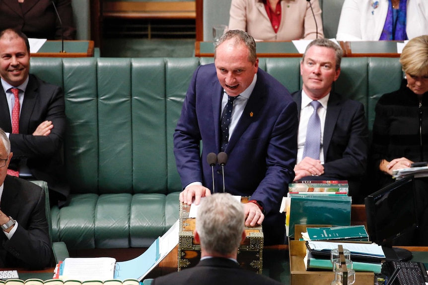 Barnaby Joyce speaking in Question Time
