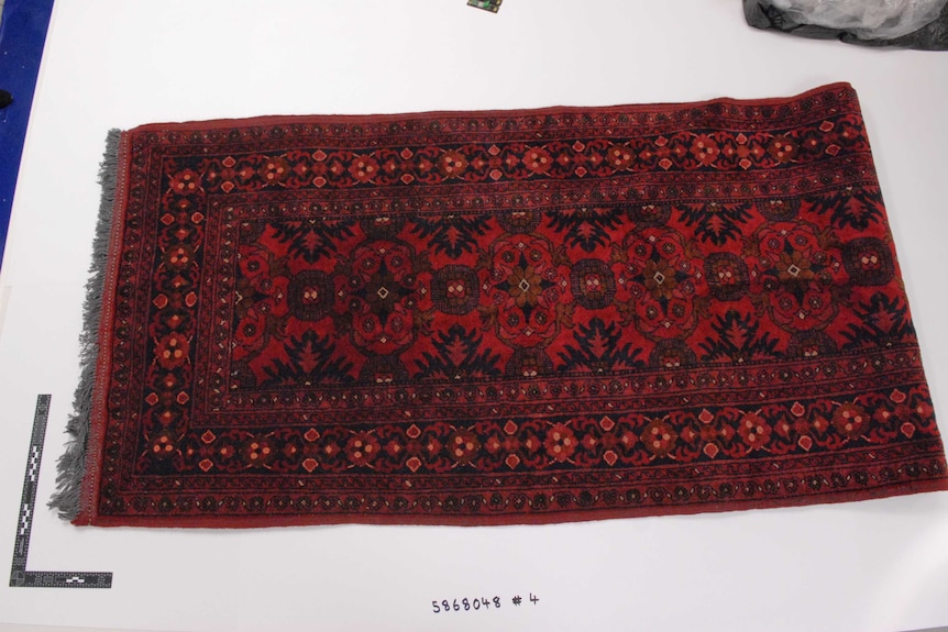A red hallway rug on a forensics bench.