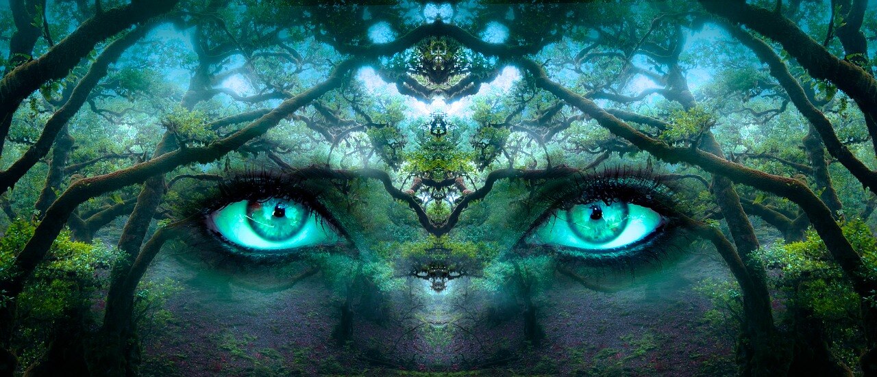 The Human Body - Sight - ABC listen