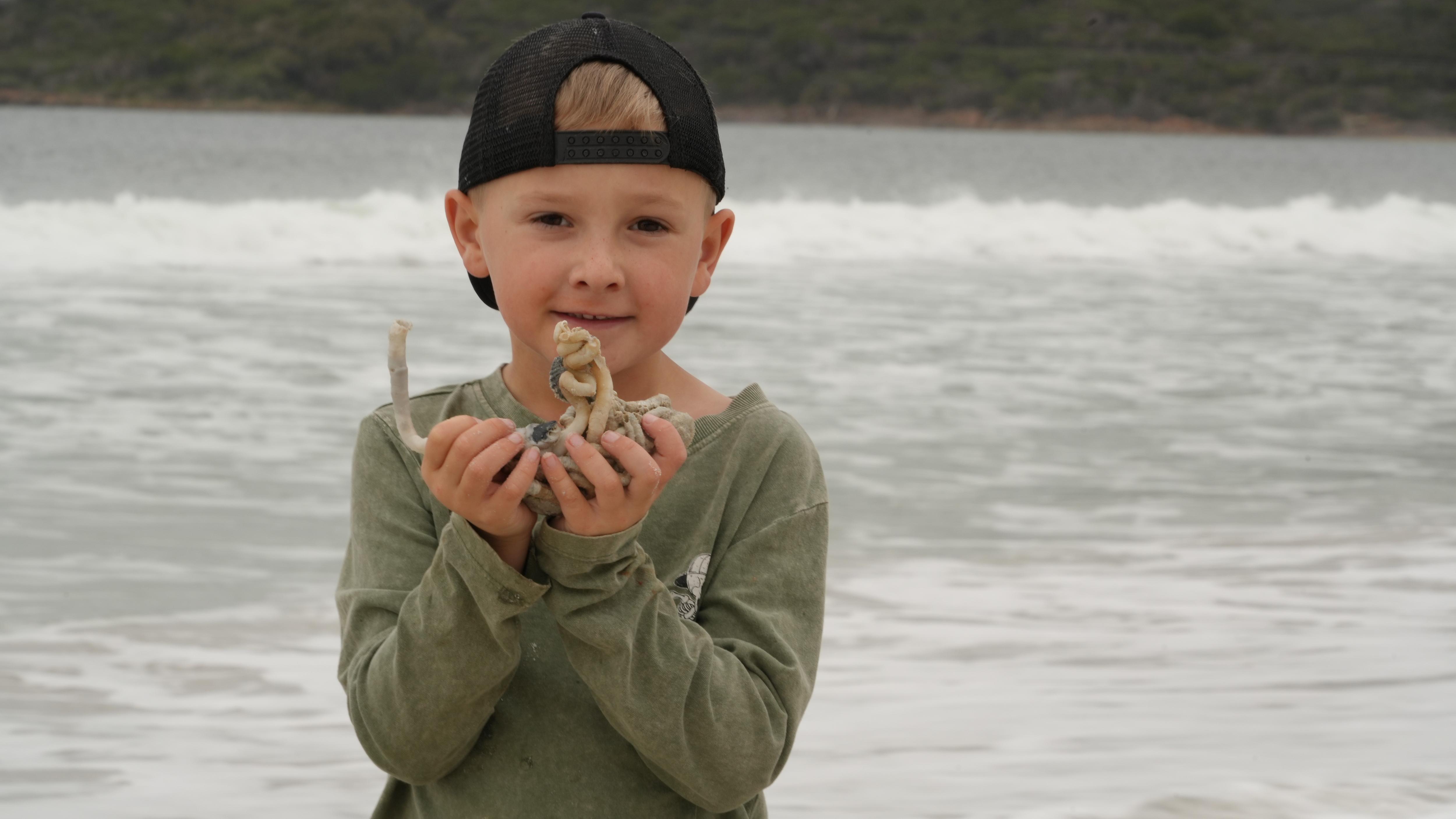 a young boy holds curly sea shells he has found at the beach