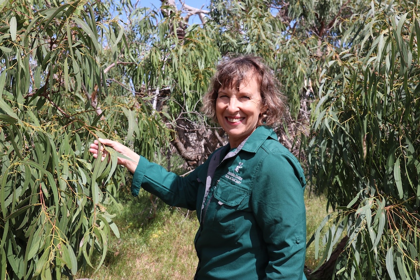 Brown-haired woman in green jacket holds some leaves on a tree as she turns and smiles at the camera.
