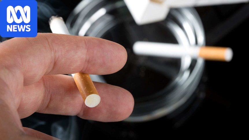cigarette smoke covid 19 Risks of Using with COVID-19 | Tobacco Prevention Toolkit Smoking Makes You More Likely