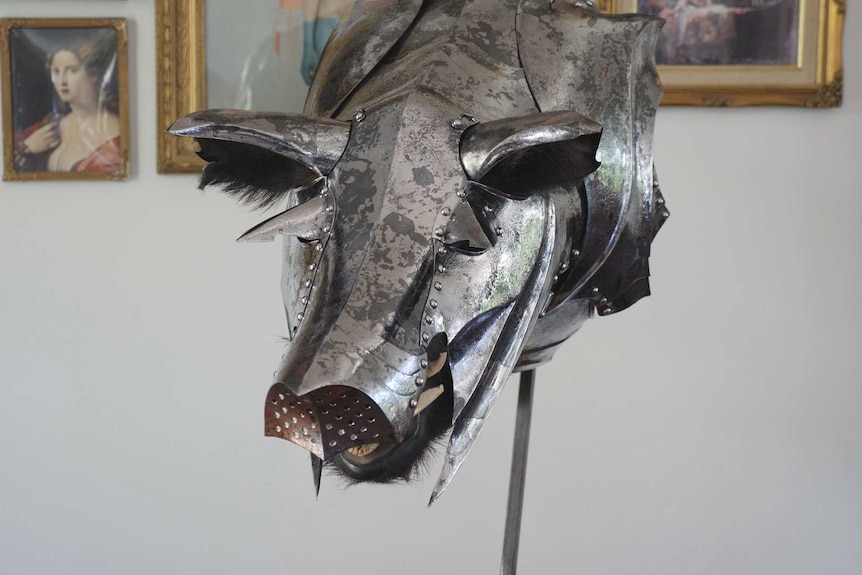 a pigs head with a metal armour head piece on it
