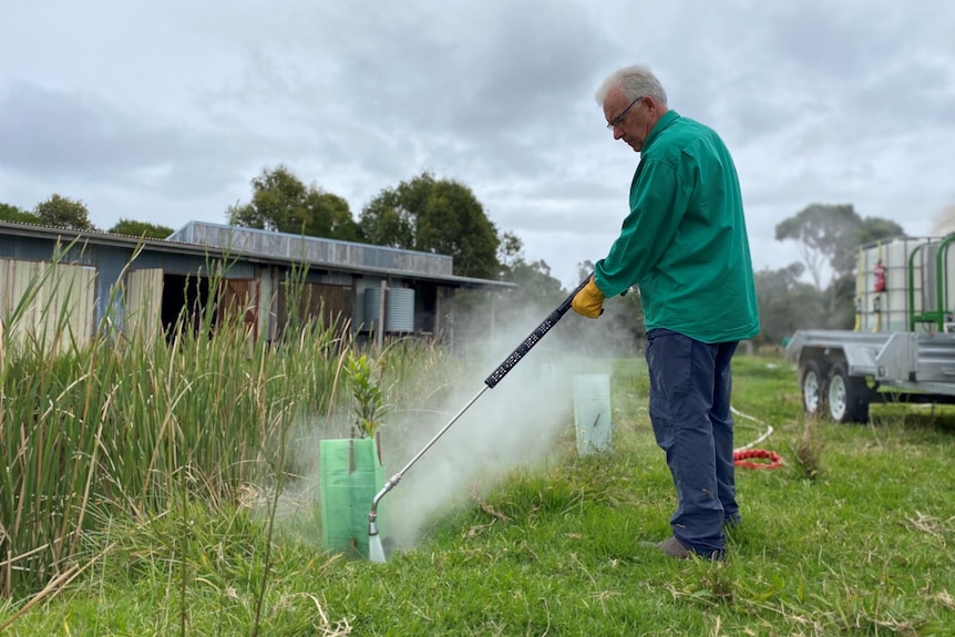 A man holds out a metal hose which projects steam onto the grass