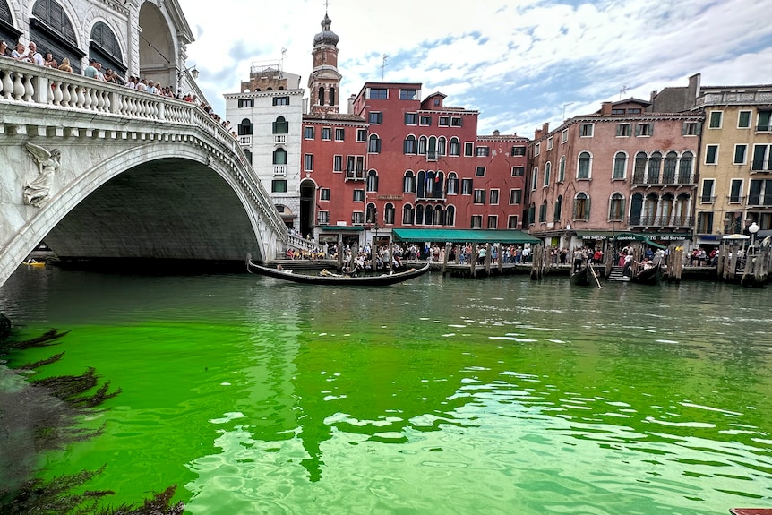 A gondola on a canal with bright green water, a bridge visible on the left. 
