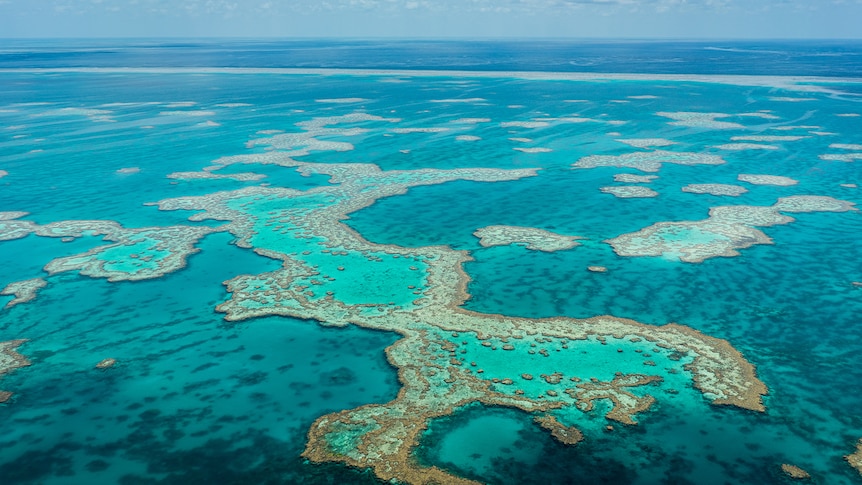 Aerial view of a section of the Great Barrier Reef