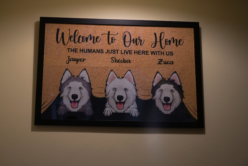 A framed doormat with 3 huskies on it reads: 'Welcome to our home. The humans just live here with us'