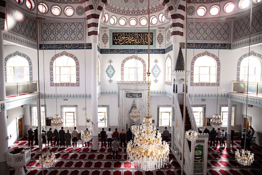 A line of people pray together inside a mosque, under chandeliers, bright windows and ornate paintwork.