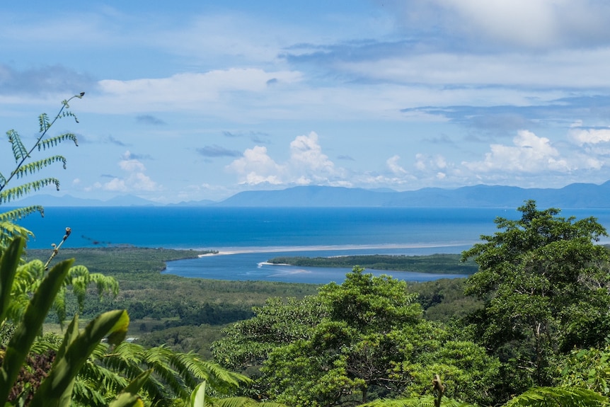an image of a panoramic view showing a river reaching the sea in a tropical rainforest